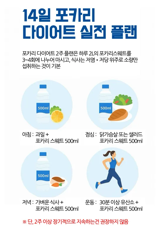 14일 포카리 다이어트 플랜 인포그래픽, 한국어로 된 아침·점심·저녁 식단과 운동 가이드